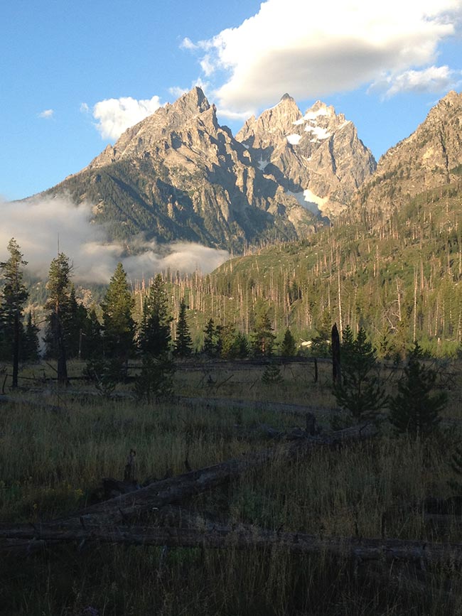 Gregory Muller - Yellowstone Wildlife Adventures - Grand Tetons