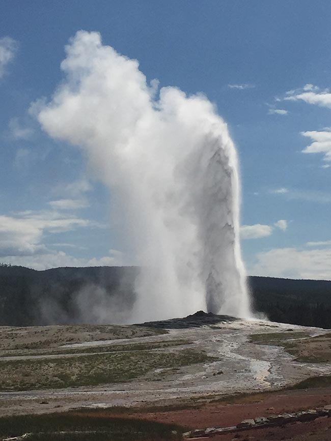 Old Faithful Erupting to Over 100ft., Yellowstone National Park