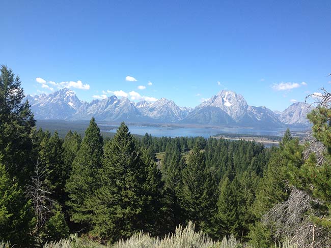 Gregory Muller - Yellowstone Wildlife Adventures - Grand Tetons